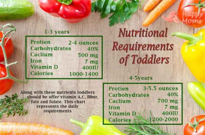Nutritional needs children toddlers young slideshare